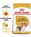 Bild 2 von ROYAL CANIN® Trockenfutter für Hunde Cavalier King Charles Adult