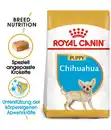 Bild 2 von ROYAL CANIN® Trockenfutter für Hunde Chihuahua Puppy