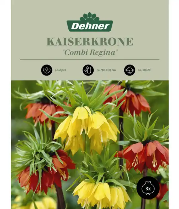 Bild 1 von Dehner Blumenzwiebel Kaiserkrone 'Combi Regina'