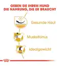 Bild 4 von ROYAL CANIN® Trockenfutter für Hunde Pug Adult