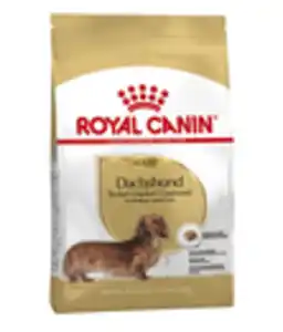 ROYAL CANIN® Trockenfutter für Hunde Dachshund Adult