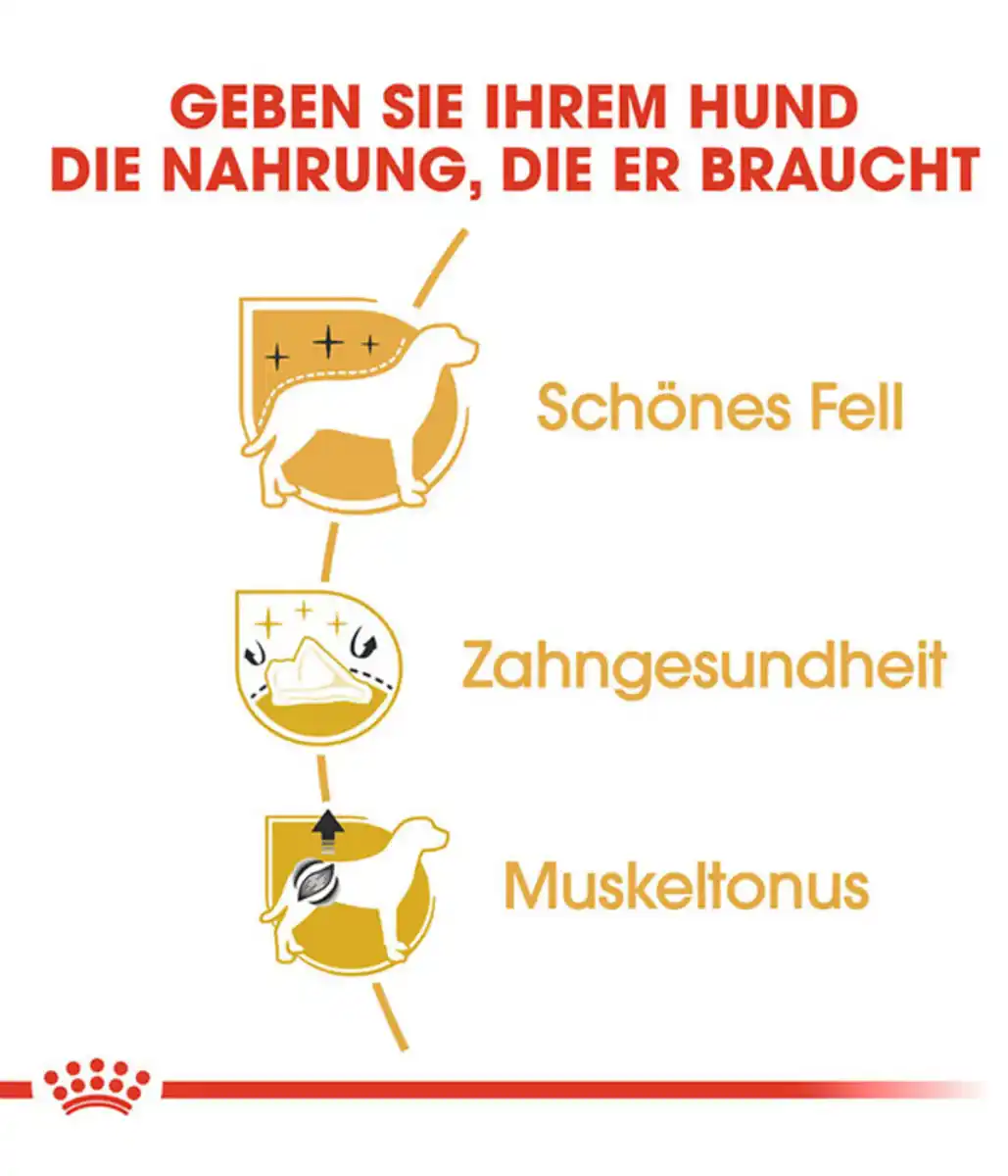 Bild 4 von ROYAL CANIN® Trockenfutter für Hunde Poodle Adult