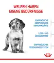 Bild 3 von Royal Canin Junior Medium, Trockenfutter