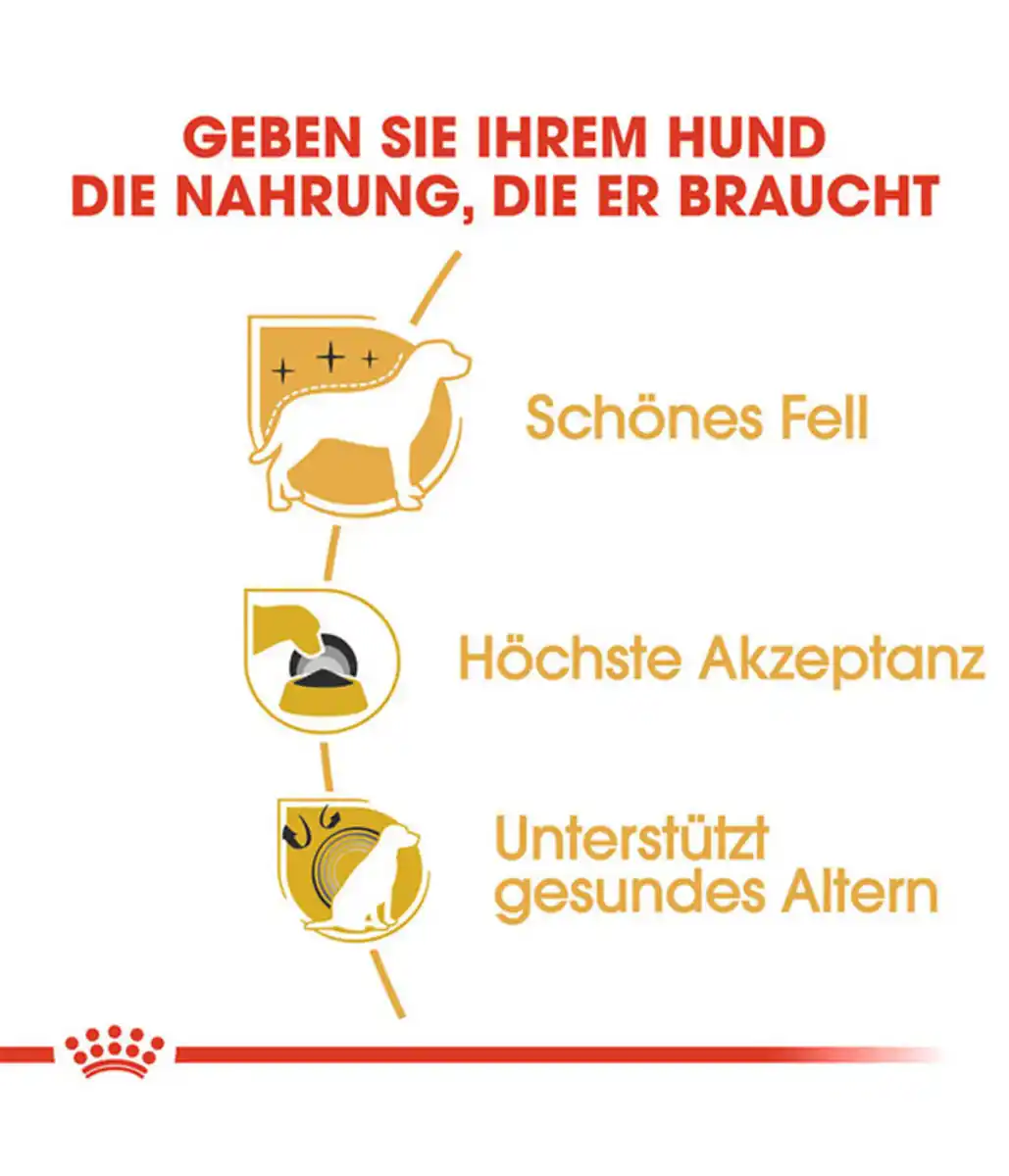 Bild 4 von ROYAL CANIN® Trockenfutter für Hunde Yorkshire Terrier Adult