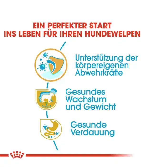 Bild 3 von ROYAL CANIN® Trockenfutter für Hunde Labrador Retriever Puppy