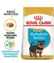 Bild 2 von ROYAL CANIN® Trockenfutter für Hunde Yorkshire Terrier Puppy