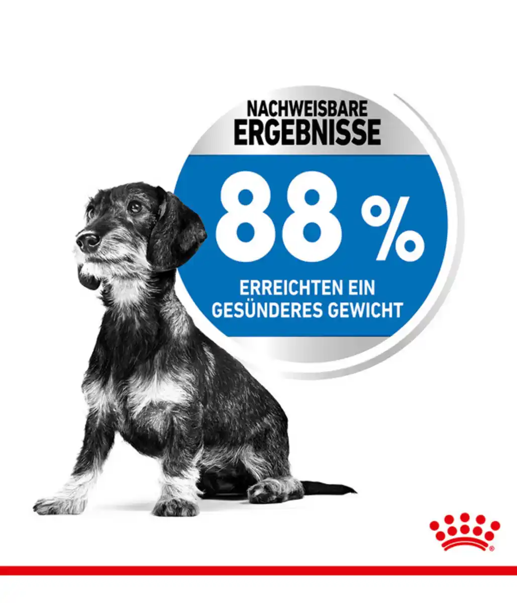 Bild 4 von ROYAL CANIN® Trockenfutter für Hunde Light Weight Care Mini