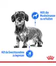 Bild 3 von ROYAL CANIN® Trockenfutter für Hunde Light Weight Care Mini