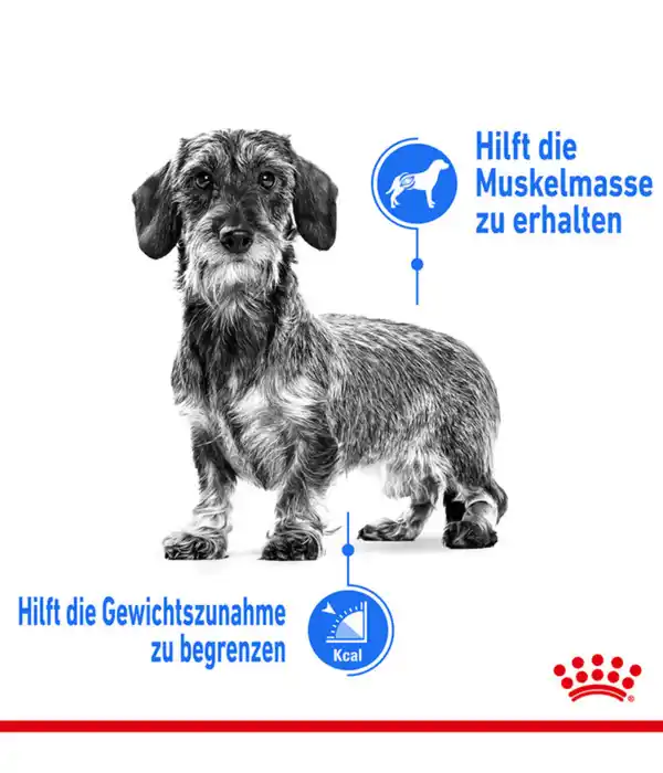 Bild 3 von ROYAL CANIN® Trockenfutter für Hunde Light Weight Care Mini