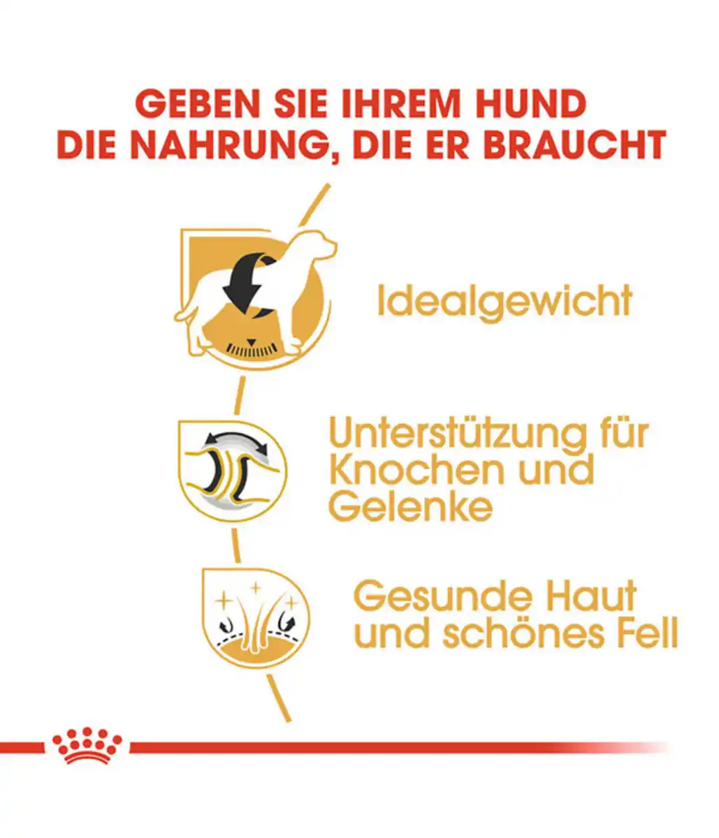 Bild 4 von ROYAL CANIN® Trockenfutter für Hunde Labrador Retriever Adult