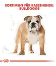 Bild 3 von ROYAL CANIN® Trockenfutter für Hunde Bulldog