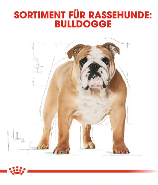 Bild 3 von ROYAL CANIN® Trockenfutter für Hunde Bulldog