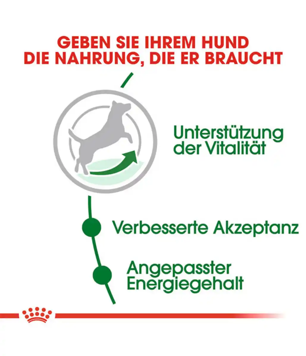 Bild 3 von ROYAL CANIN® Trockenfutter für Hunde Mini Adult 8+