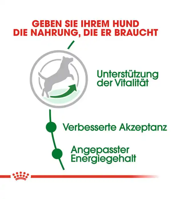 Bild 3 von ROYAL CANIN® Trockenfutter für Hunde Mini Adult 8+