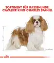 Bild 3 von ROYAL CANIN® Trockenfutter für Hunde Cavalier King Charles Adult