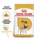 Bild 2 von ROYAL CANIN® Trockenfutter für Hunde Pug Adult