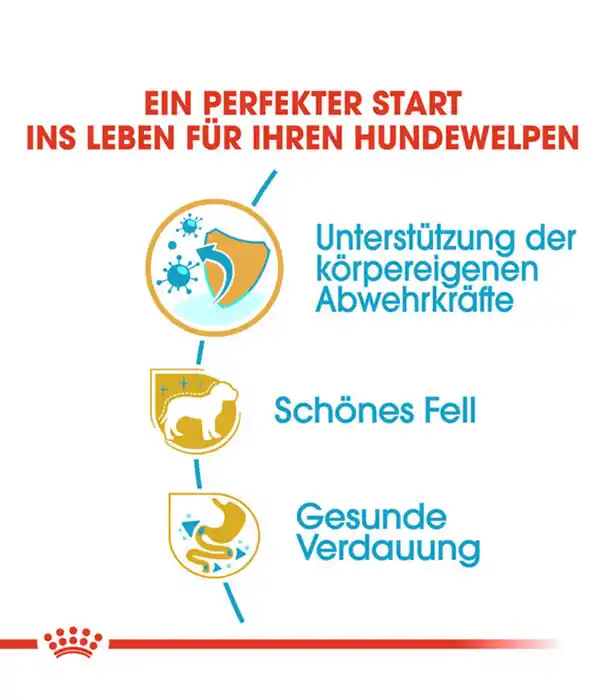 Bild 3 von ROYAL CANIN® Trockenfutter für Hunde Yorkshire Terrier Puppy