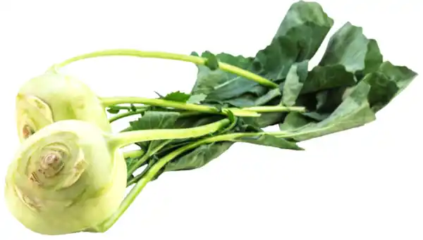 Bild 1 von Kohlrabi