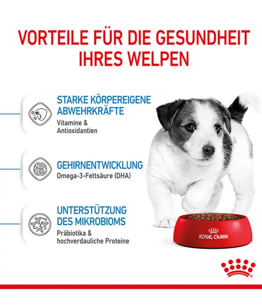 Bild 3 von ROYAL CANIN® Trockenfutter für Hunde Mini Puppy