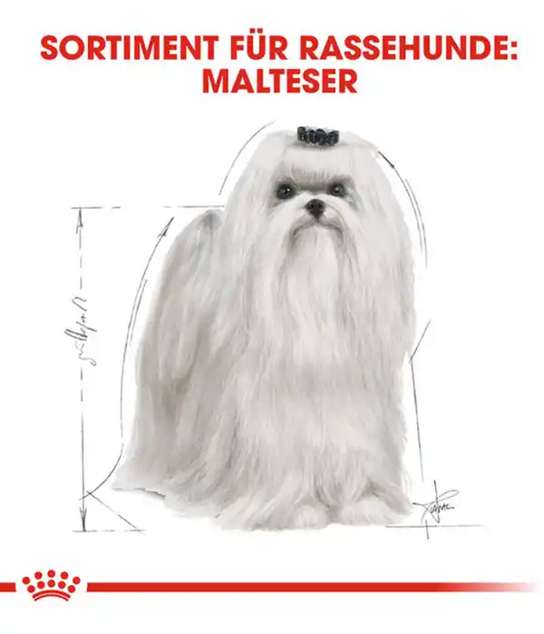 Bild 3 von ROYAL CANIN® Trockenfutter für Hunde Maltese Adult