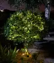 Bild 2 von Smart Garden Solarlichterkette