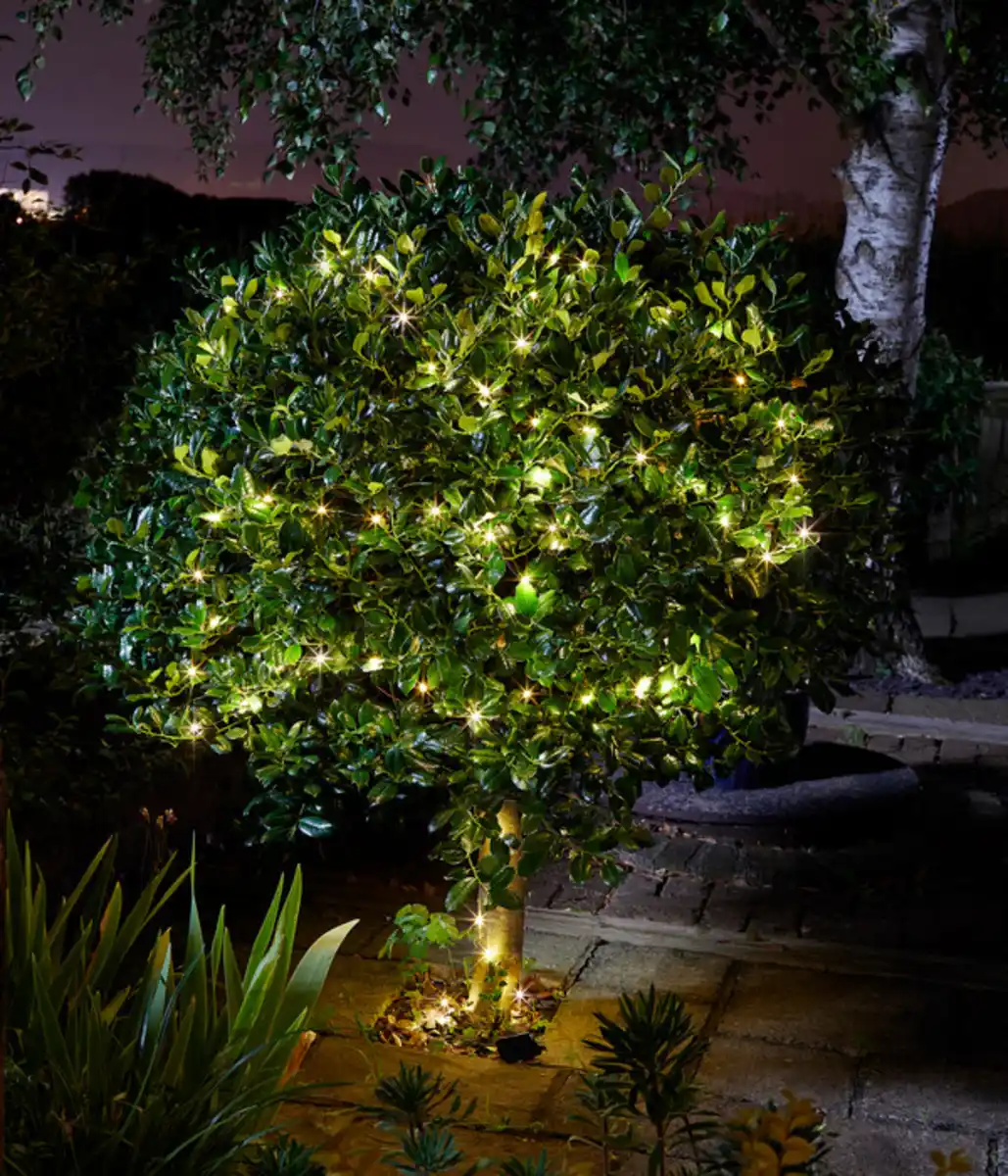 Bild 2 von Smart Garden Solarlichterkette