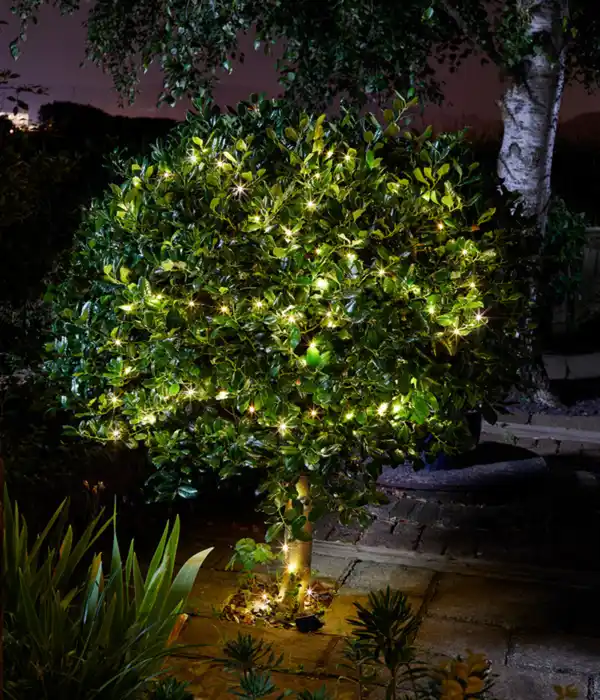 Bild 2 von Smart Garden Solarlichterkette