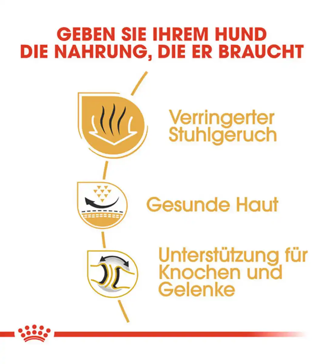 Bild 4 von ROYAL CANIN® Trockenfutter für Hunde Bulldog