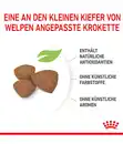 Bild 4 von ROYAL CANIN® Trockenfutter für Hunde Mini Puppy