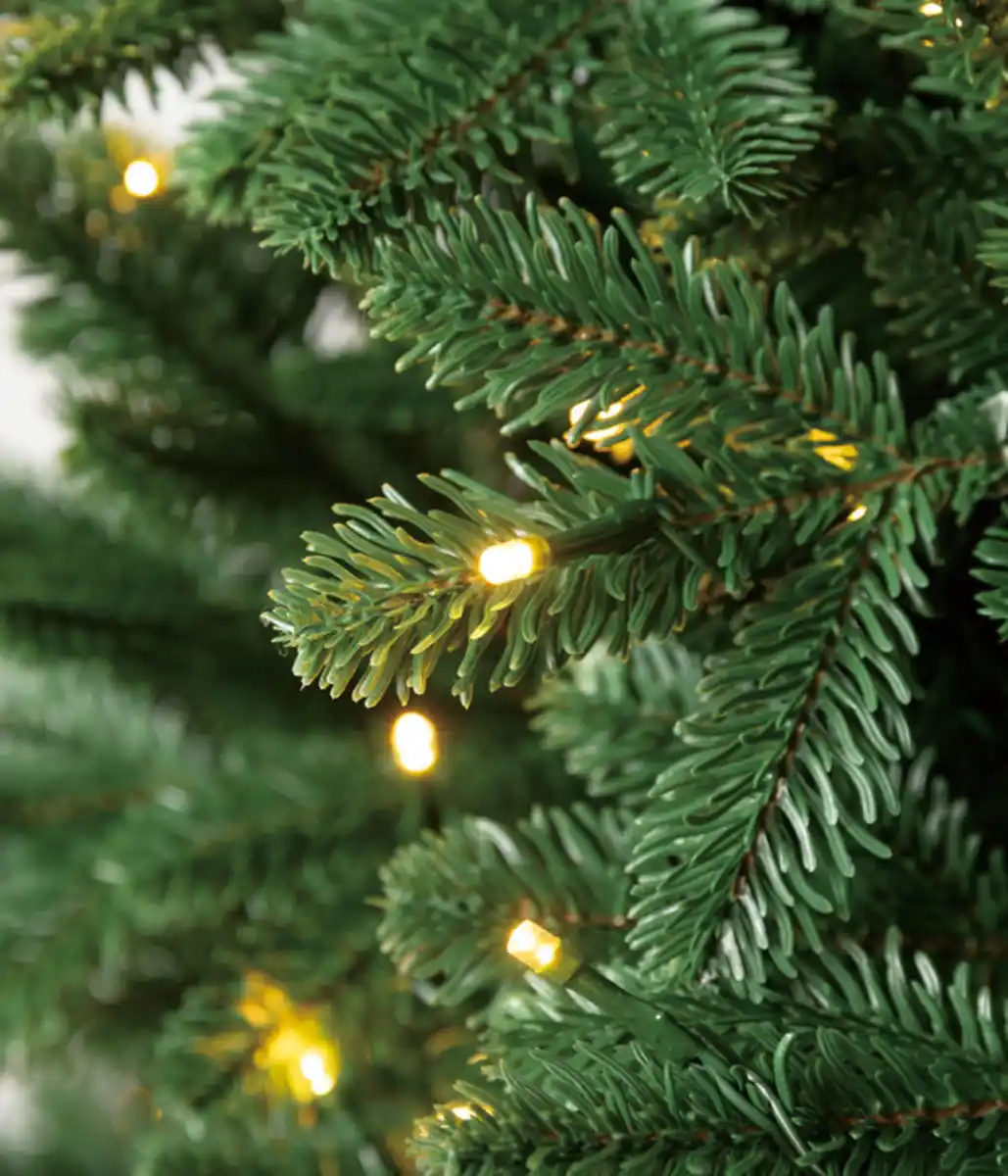 Bild 4 von Dehner künstlicher LED-Weihnachtsbaum Alva, ca. H180 cm