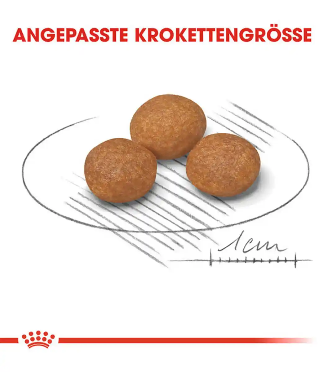 Bild 4 von ROYAL CANIN® Trockenfutter für Hunde X-Small Adult 8+