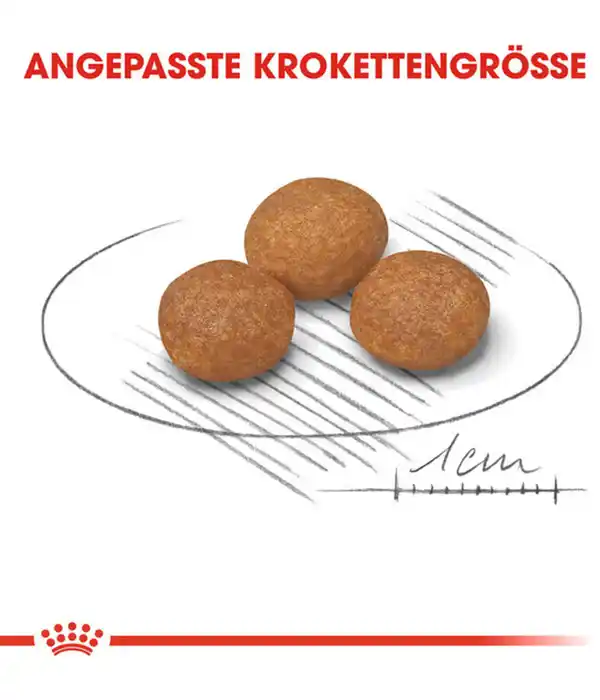 Bild 4 von ROYAL CANIN® Trockenfutter für Hunde X-Small Adult 8+