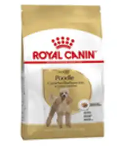 ROYAL CANIN® Trockenfutter für Hunde Poodle Adult