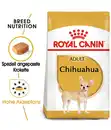 Bild 2 von ROYAL CANIN® Trockenfutter für Hunde Chihuahua Adult