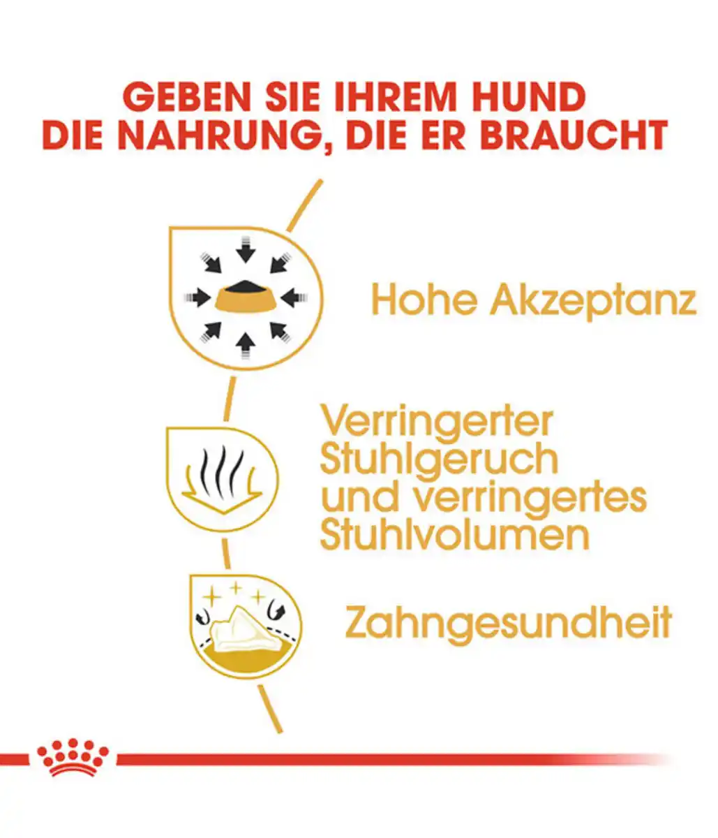 Bild 4 von ROYAL CANIN® Trockenfutter für Hunde Chihuahua Adult