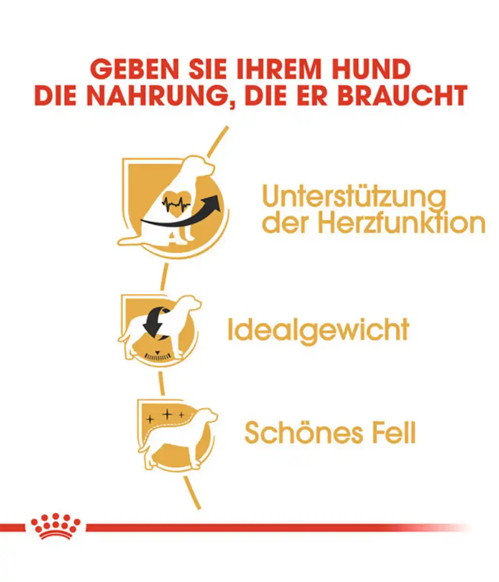 Bild 4 von ROYAL CANIN® Trockenfutter für Hunde Cavalier King Charles Adult