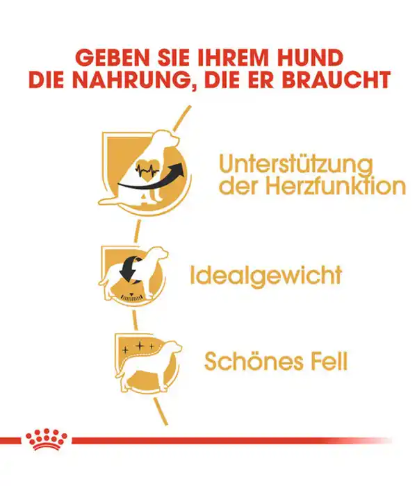 Bild 4 von ROYAL CANIN® Trockenfutter für Hunde Cavalier King Charles Adult