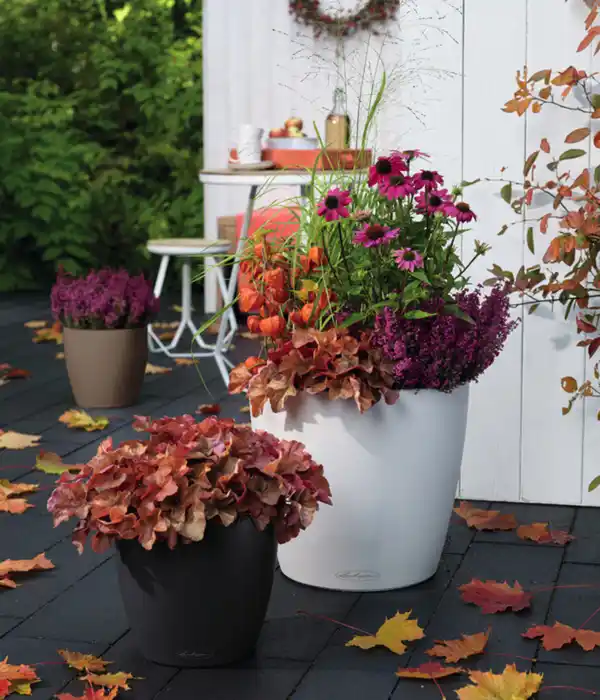 Bild 4 von LECHUZA® CLASSICO Color, All-in-One-Set