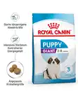 Bild 2 von ROYAL CANIN® Trockenfutter für Hunde Giant Puppy, 15 kg