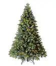 Bild 1 von Dehner künstlicher LED-Weihnachtsbaum Alva, ca. H180 cm