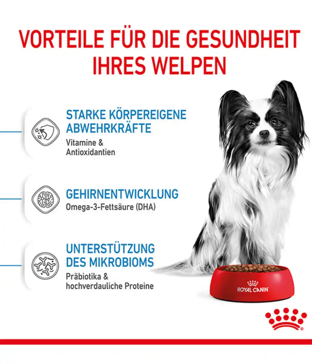 Bild 4 von ROYAL CANIN® Trockenfutter für Hunde X-Small Puppy