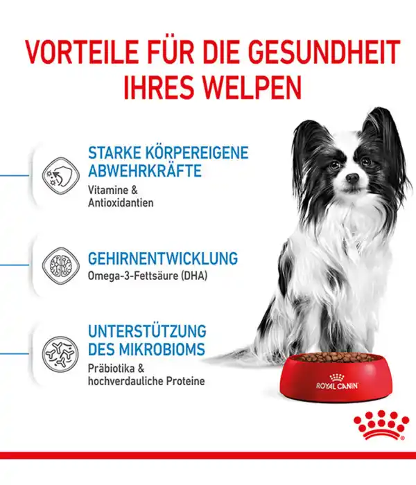 Bild 4 von ROYAL CANIN® Trockenfutter für Hunde X-Small Puppy