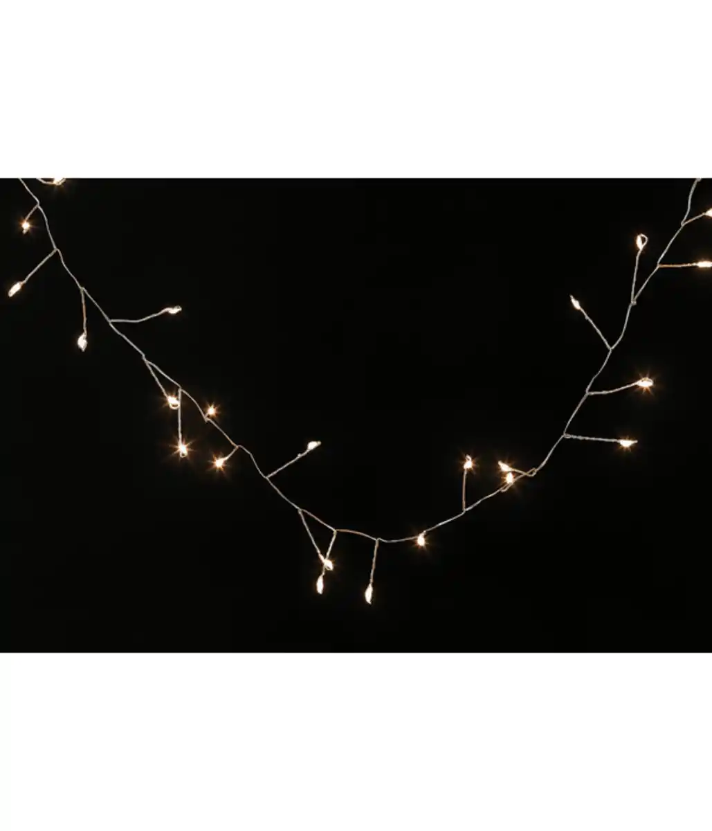 Bild 3 von Dehner LED-Lichterkette, 100 LEDs, warmweiß, ca. L250 cm