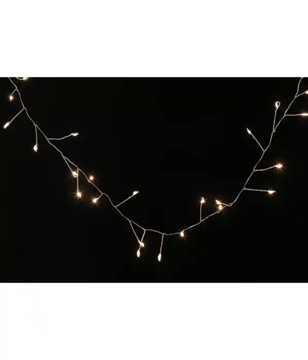 Bild 3 von Dehner LED-Lichterkette, 100 LEDs, warmweiß, ca. L250 cm