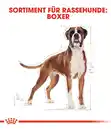 Bild 3 von ROYAL CANIN® Trockenfutter für Hunde Boxer 26 Adult