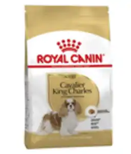 ROYAL CANIN® Trockenfutter für Hunde Cavalier King Charles Adult