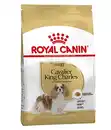 Bild 1 von ROYAL CANIN® Trockenfutter für Hunde Cavalier King Charles Adult