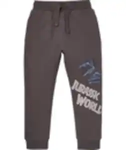 Jurassic World Jogginghose, Jurassic World, elastischer Bund, grau