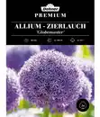 Bild 1 von Dehner Premium Blumenzwiebel Allium-Zierlauch 'Globemaster', 2 Stk.