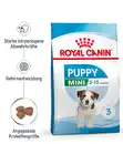 Bild 2 von ROYAL CANIN® Trockenfutter für Hunde Mini Puppy